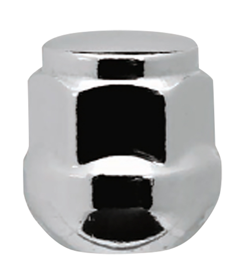  - Passenger Lug Nuts and Acc